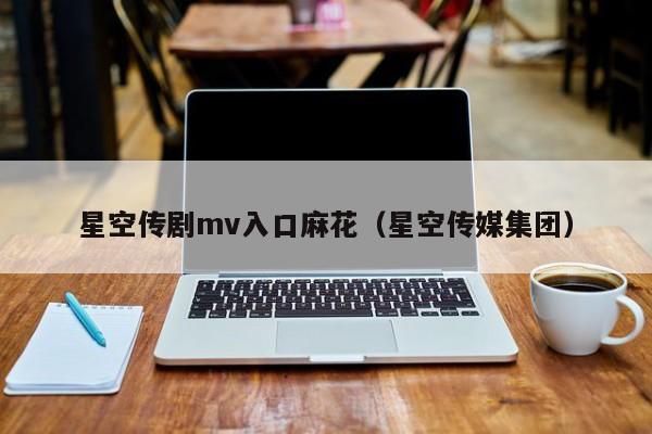 星空传剧mv入口麻花(星空传媒集团)