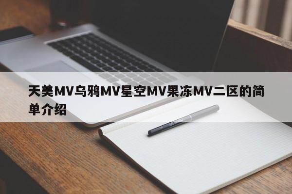 天美MV乌鸦MV星空MV果冻MV二区的简单介绍
